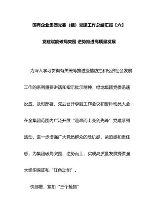 国有企业集团党委（组）党建工作总结汇报 党建赋能破局突围 逆势推进高质量发展