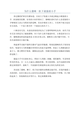 为什么猫咪一趴下就揣着小手