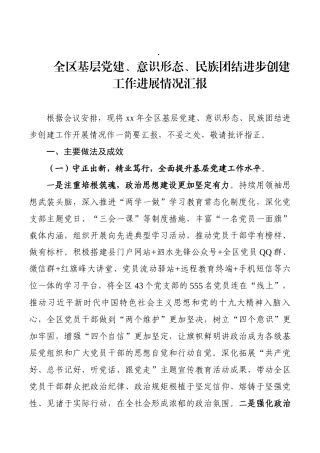 全区基层党建、意识形态、民族团结进步创建工作进展情况汇报