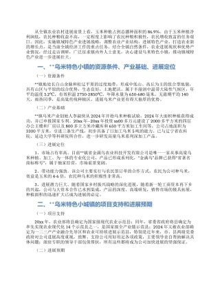 乌米特色小镇产业发展战略调研报告