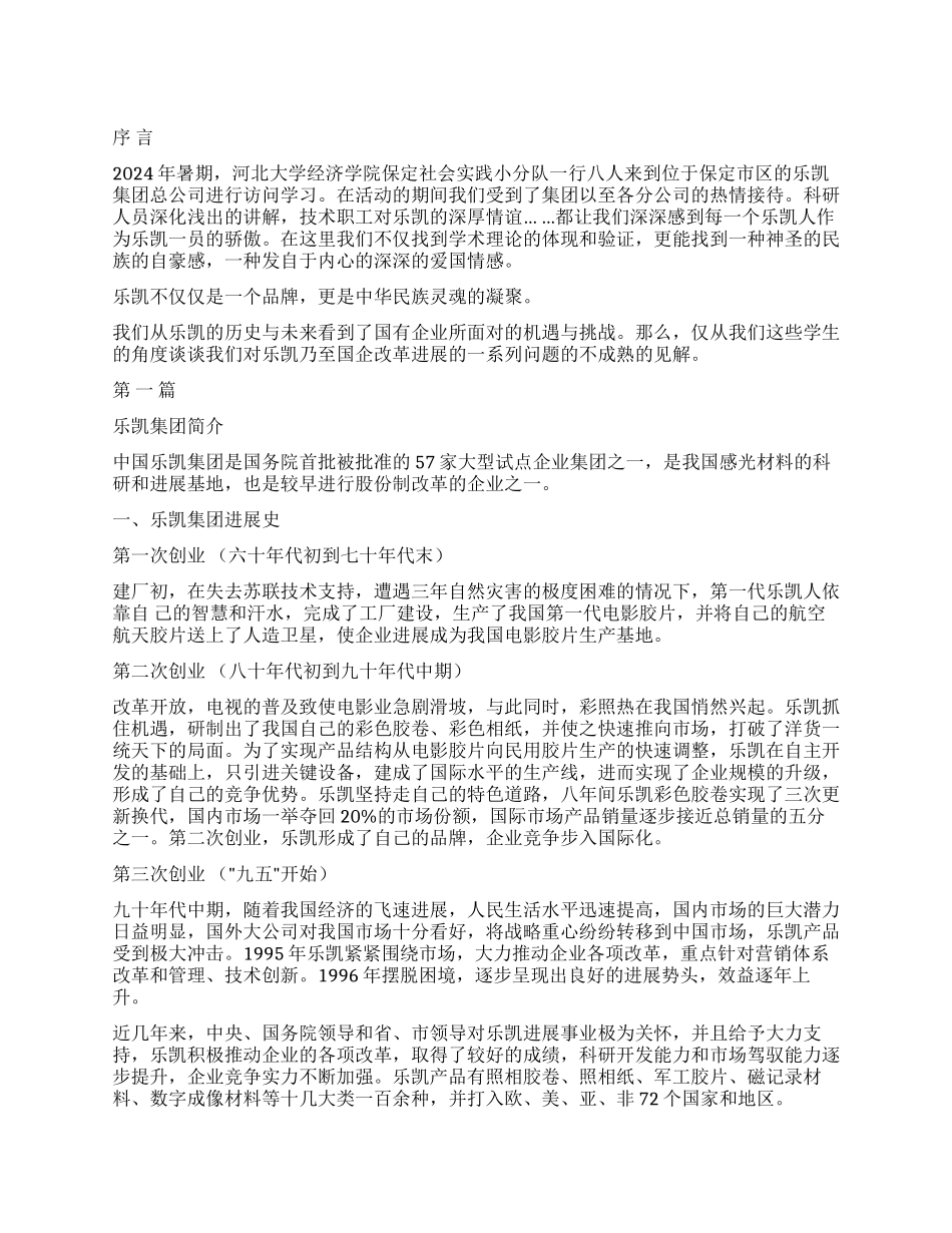 乐凯公司实践报告_第1页