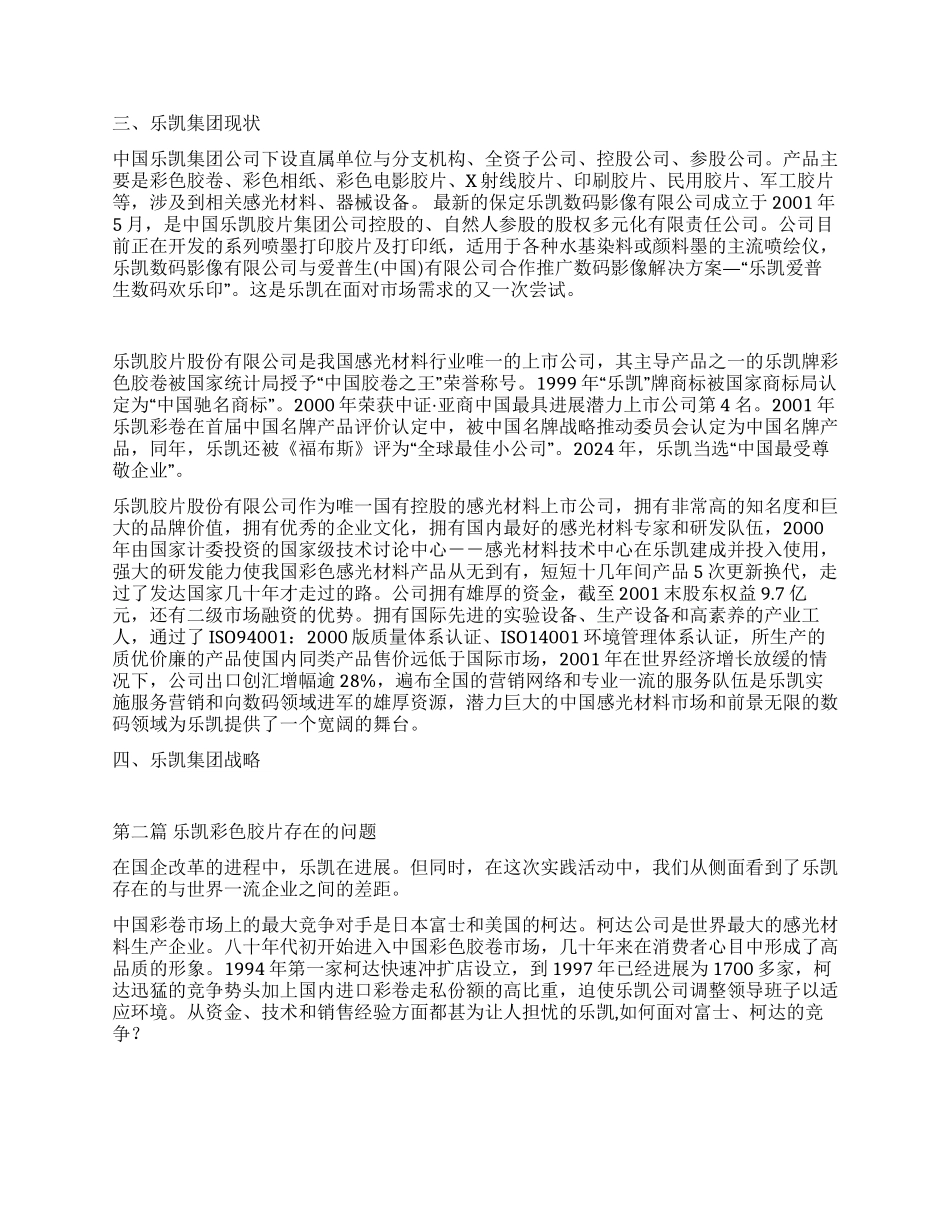 乐凯公司实践报告_第2页