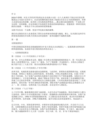 乐凯公司实践报告