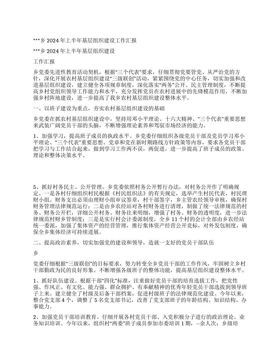 乡2024年上半年基层组织建设工作汇报_第1页
