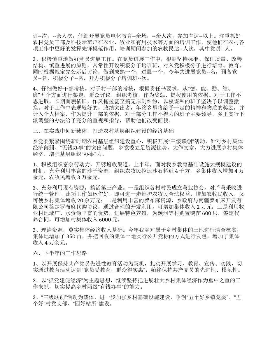 乡2024年上半年基层组织建设工作汇报_第2页