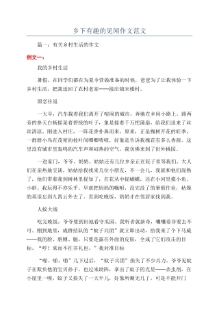 乡下有趣的见闻作文范文