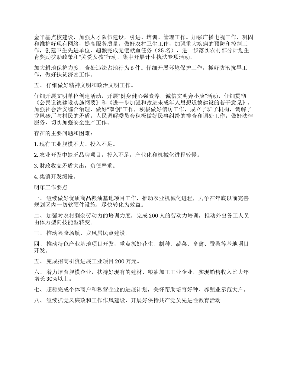 乡人民政府工作总结_第2页