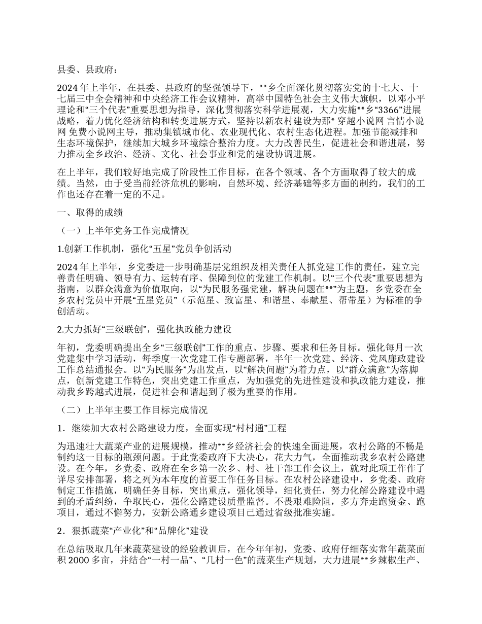 乡党委2024年上半年党务工作总结_第1页