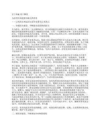 乡党委书记同志事迹