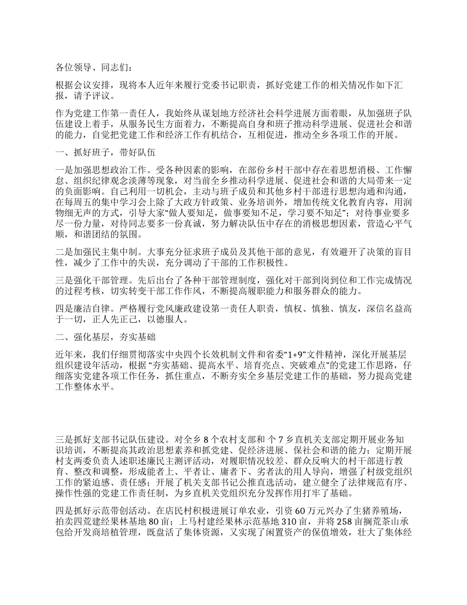 乡党委书记年终总结_第1页