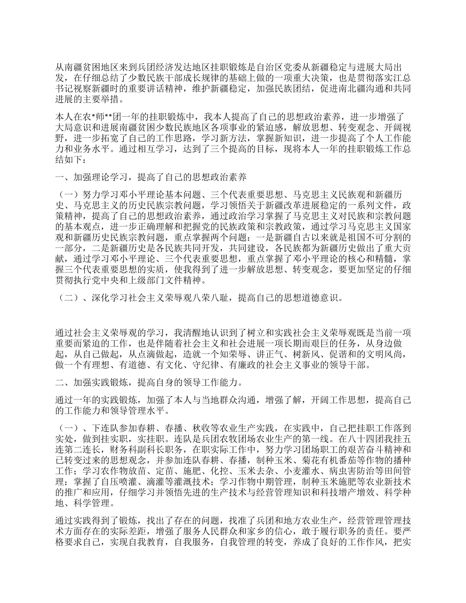 乡党委副书记2024年度挂职个人工作总结_第1页