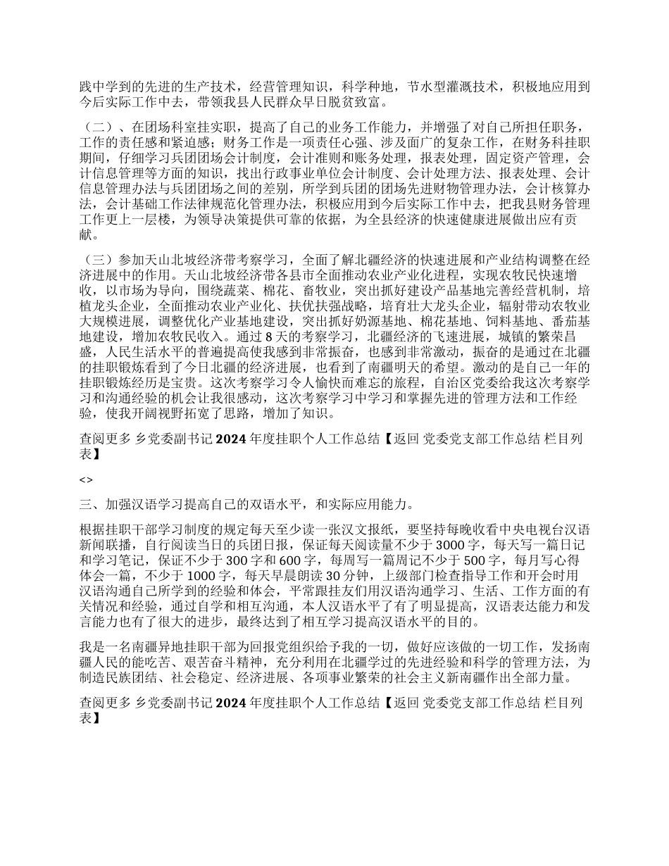 乡党委副书记2024年度挂职个人工作总结_第2页