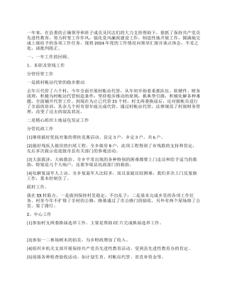 乡党委委员述职报告