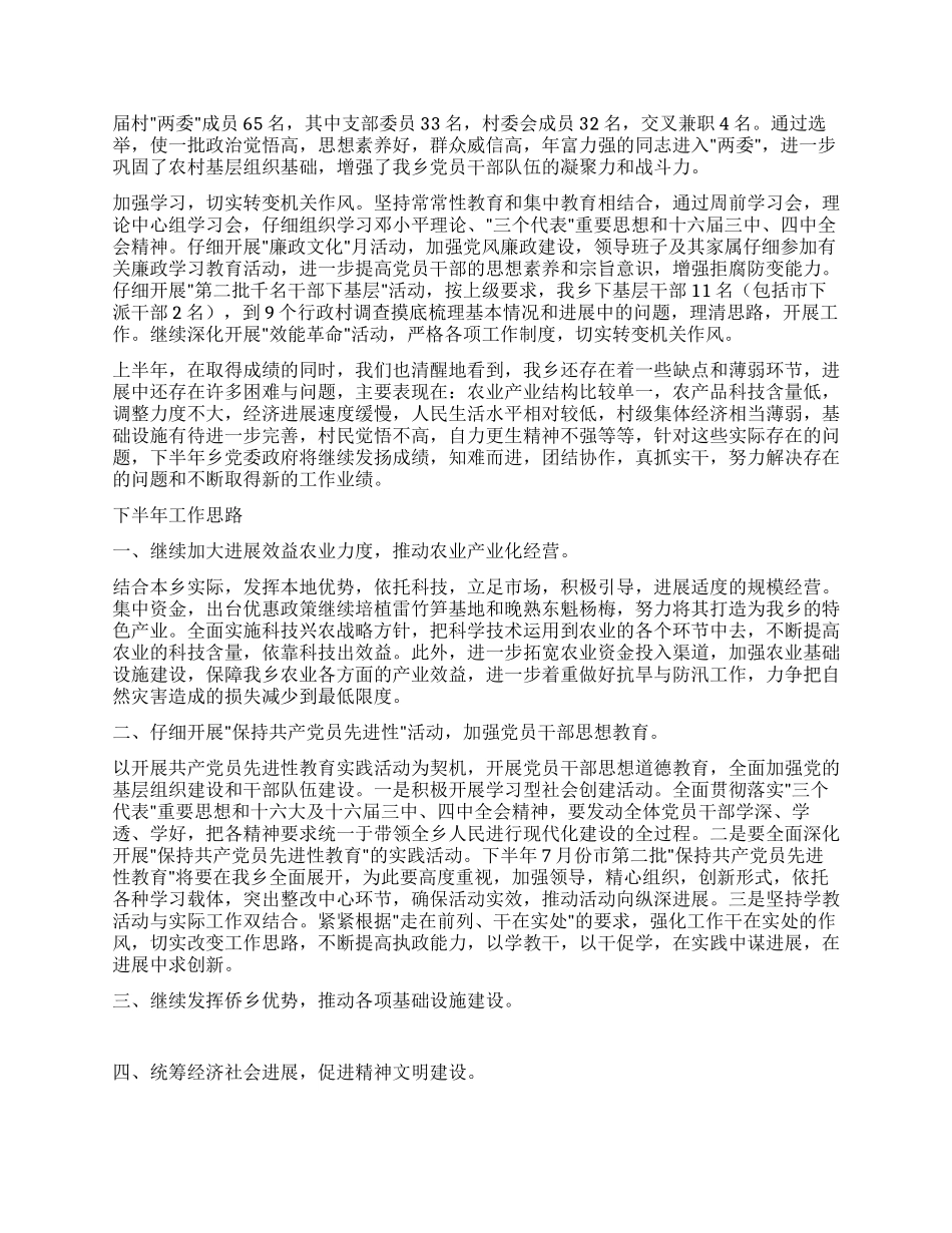 乡党委政府半年度总结_第3页