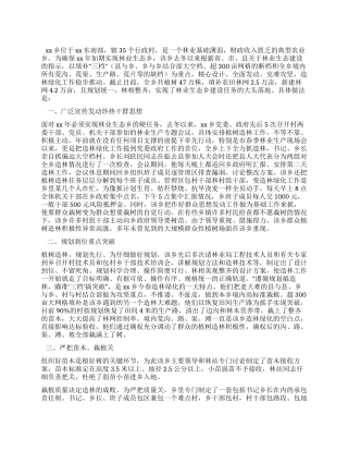 乡去冬今春造林绿化情况汇报