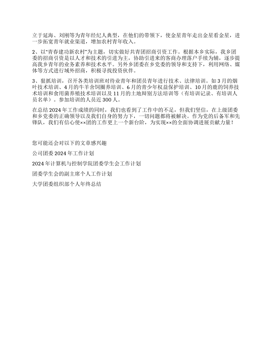 乡团委2024年工作年终总结_第3页