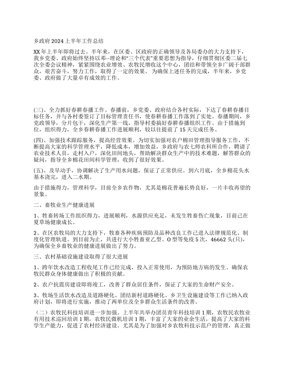 乡政府2024上半年工作总结_第1页