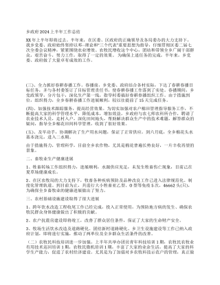 乡政府2024上半年工作总结