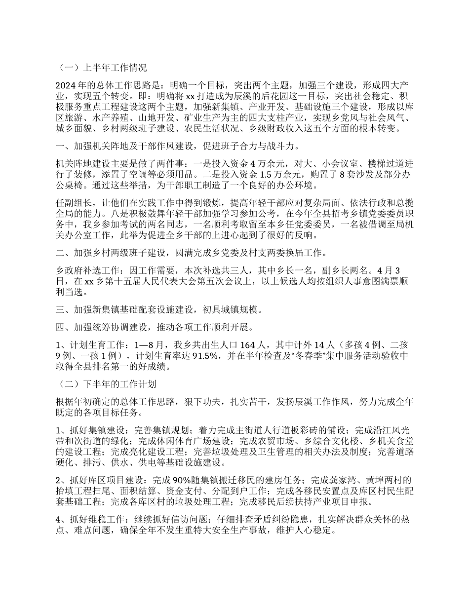乡政府2024年上半年工作总结及下半年工作计划_第1页