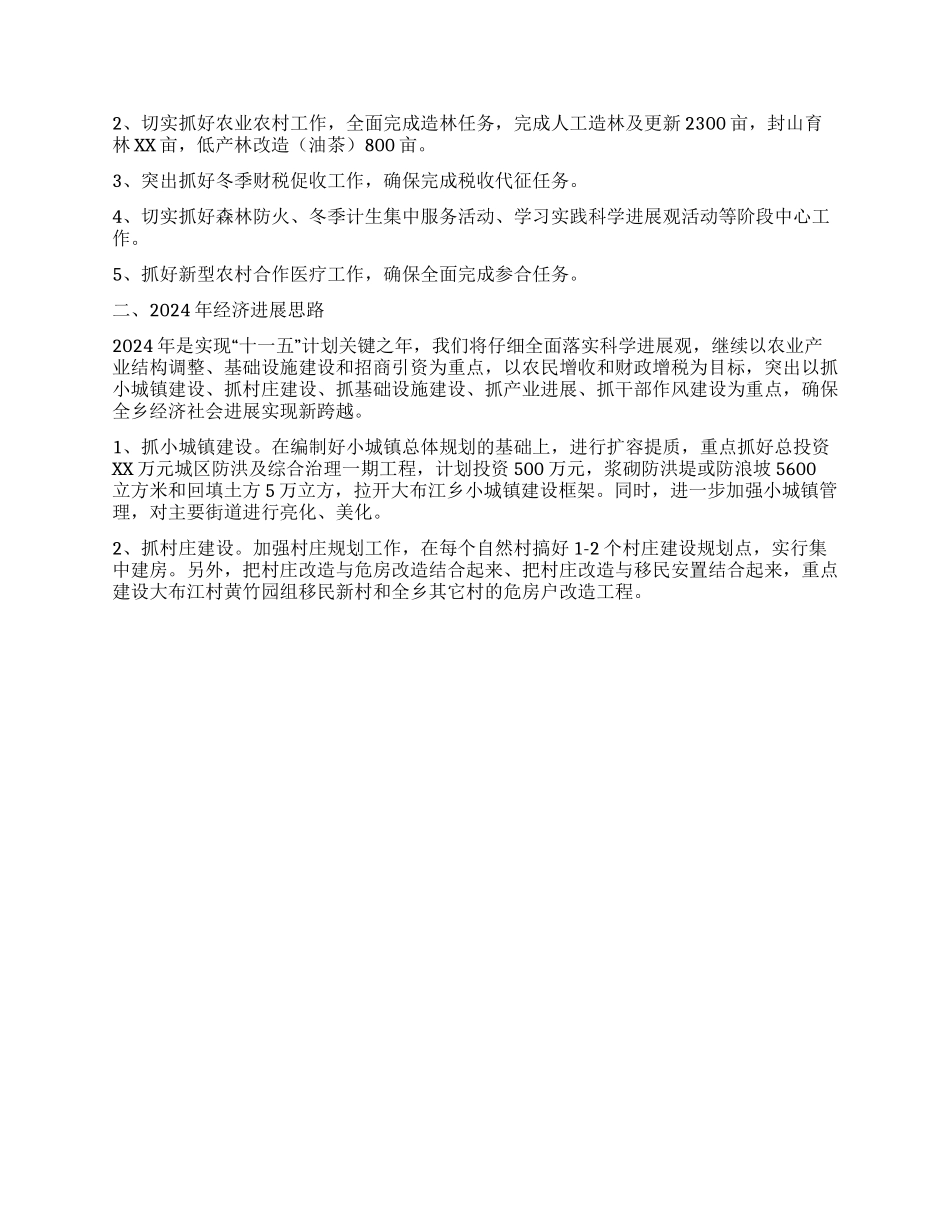 乡政府2024年工作总结及工作思路_第2页