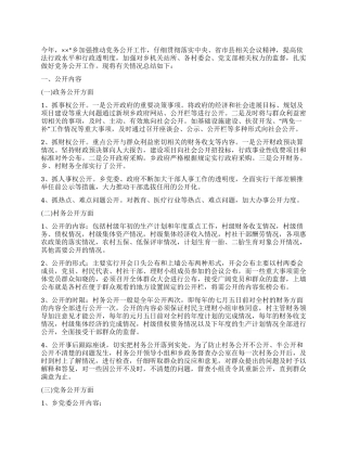 乡政府党务公开工作总结范文