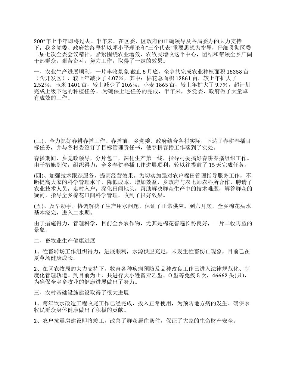 乡政府上半年工作总结及第三季度工作安排年终总结_第1页
