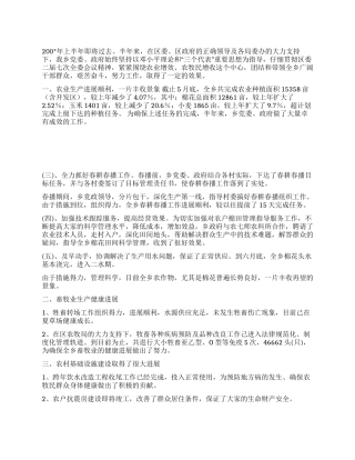 乡政府上半年工作总结及第三季度工作安排年终总结