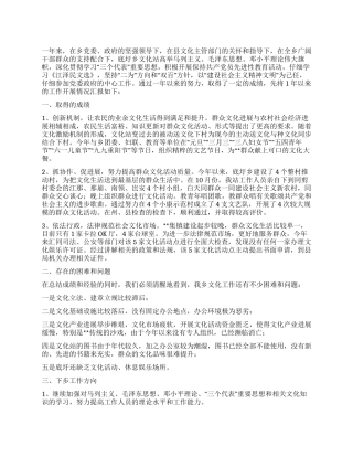 乡文化站2024年工作总结