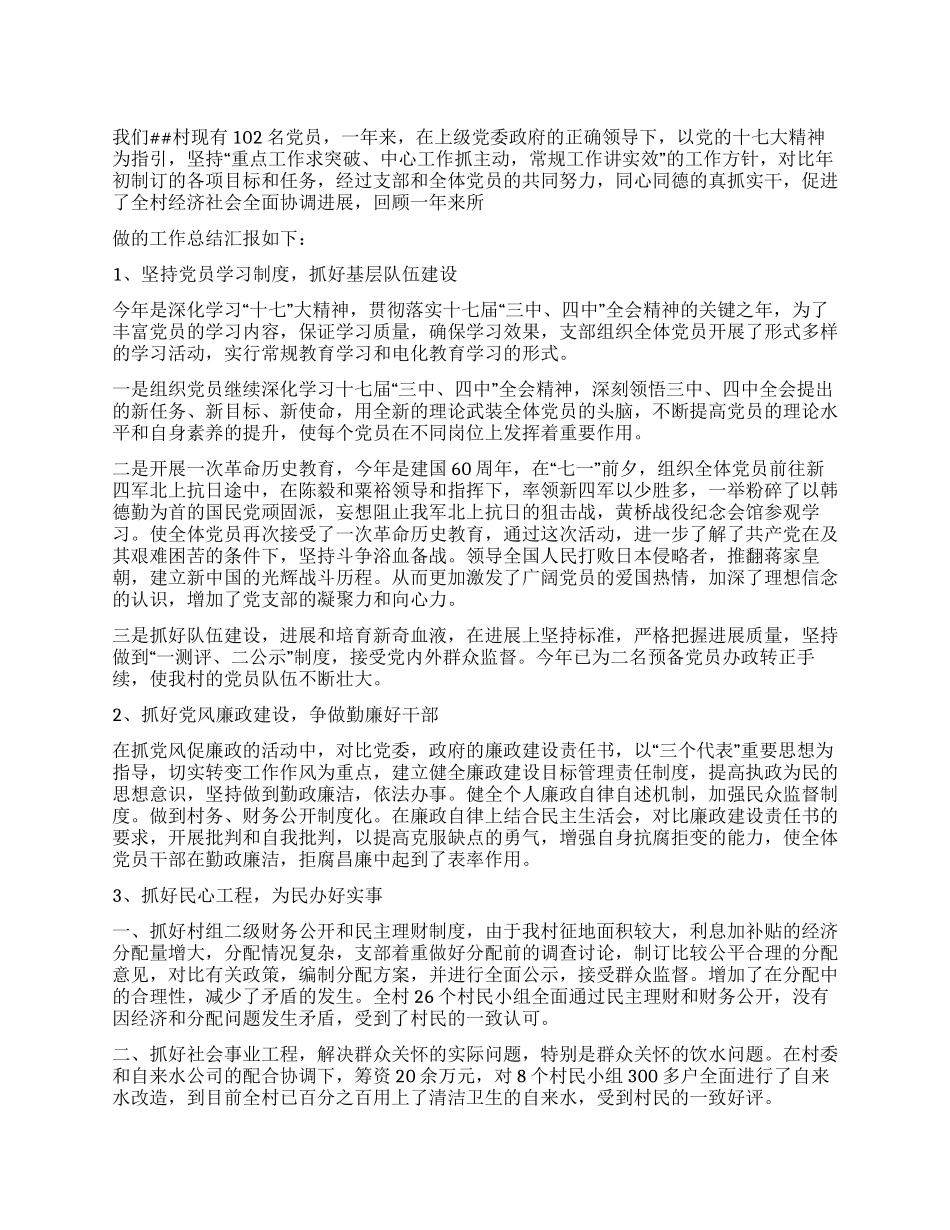 乡村2024年党支部工作总结_第1页