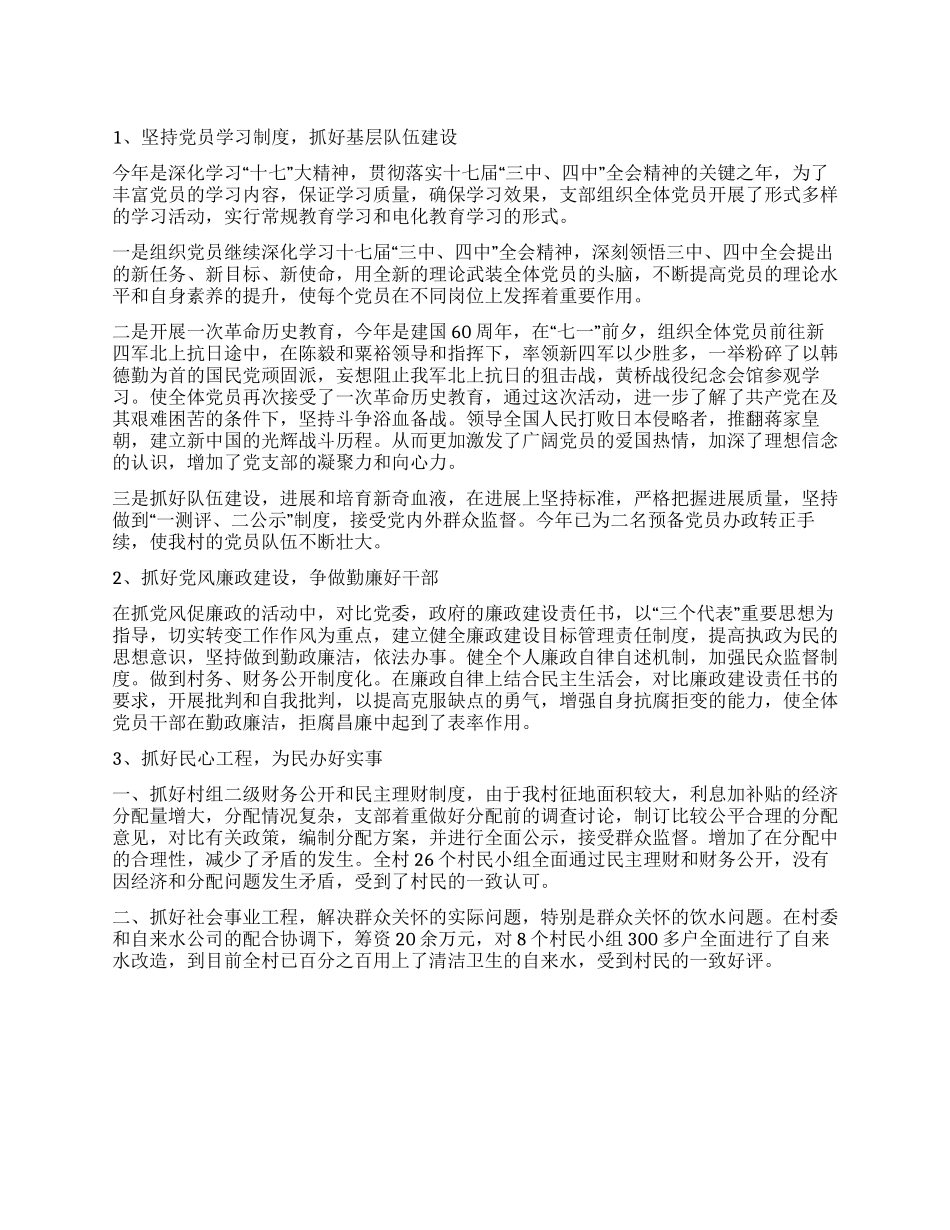 乡村党支部工作总结_第1页