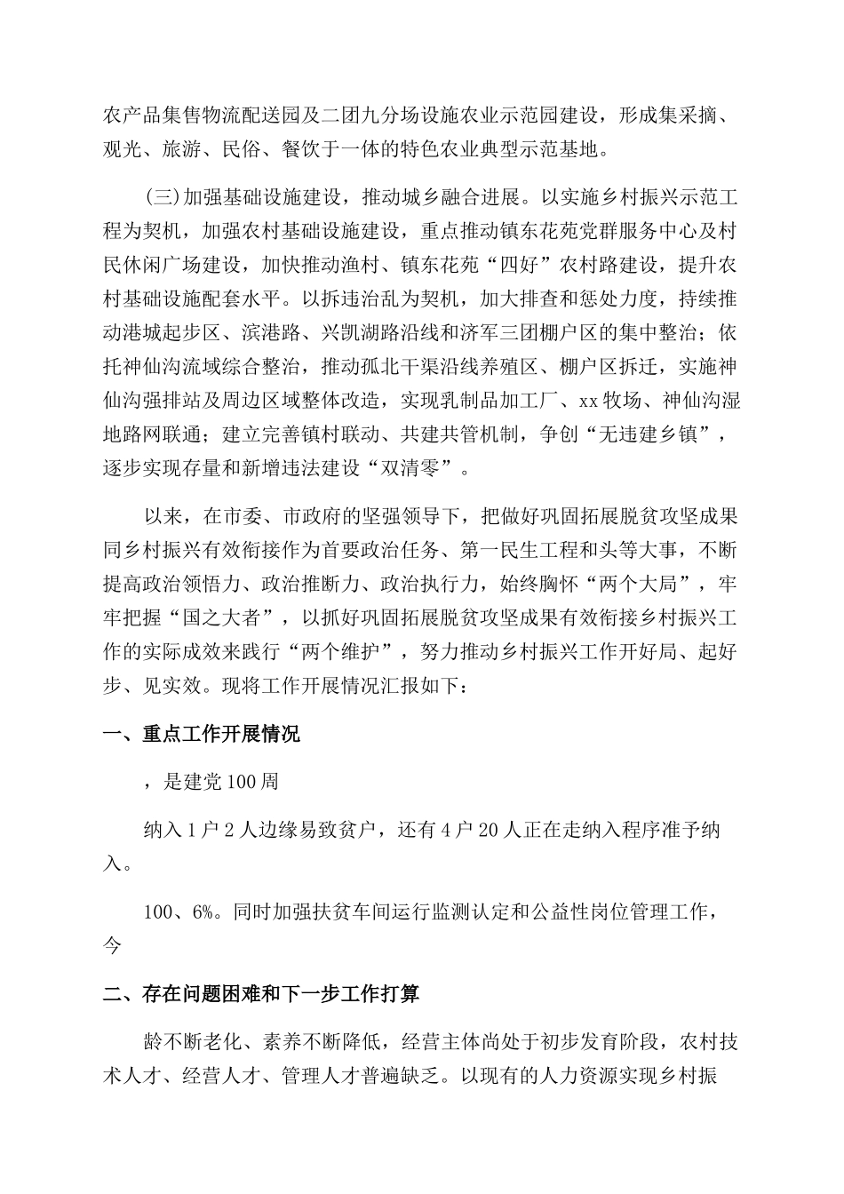 乡村振兴工作汇报_第3页
