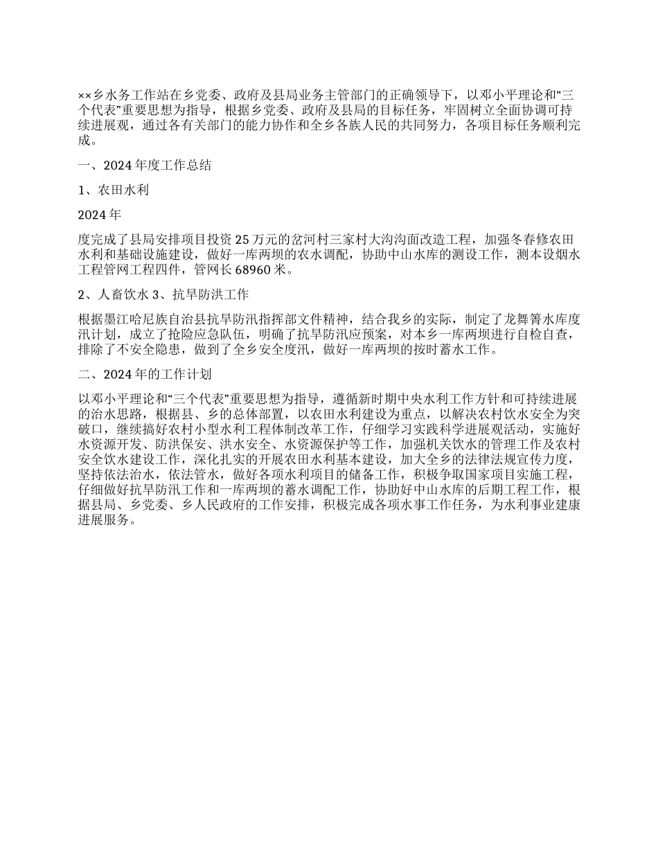 乡水务工作站2024年工作总结及2024年工作计划_第1页