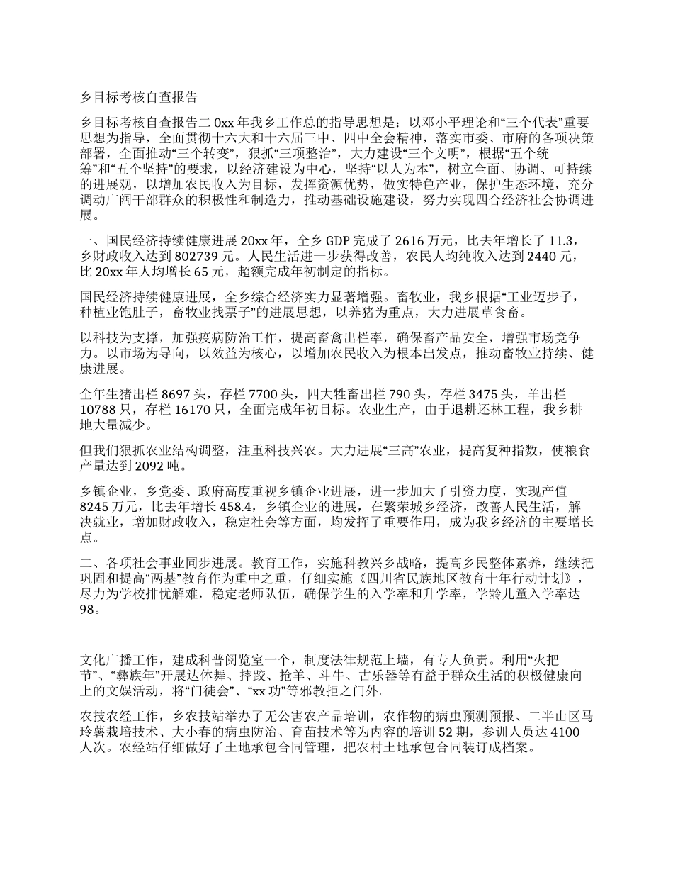 乡目标考核自查报告_第1页