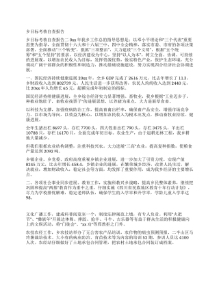 乡目标考核自查报告