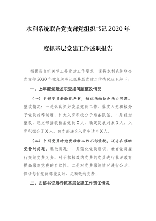 水利系统联合党支部党组织书记2020年度抓基层党建工作述职报告