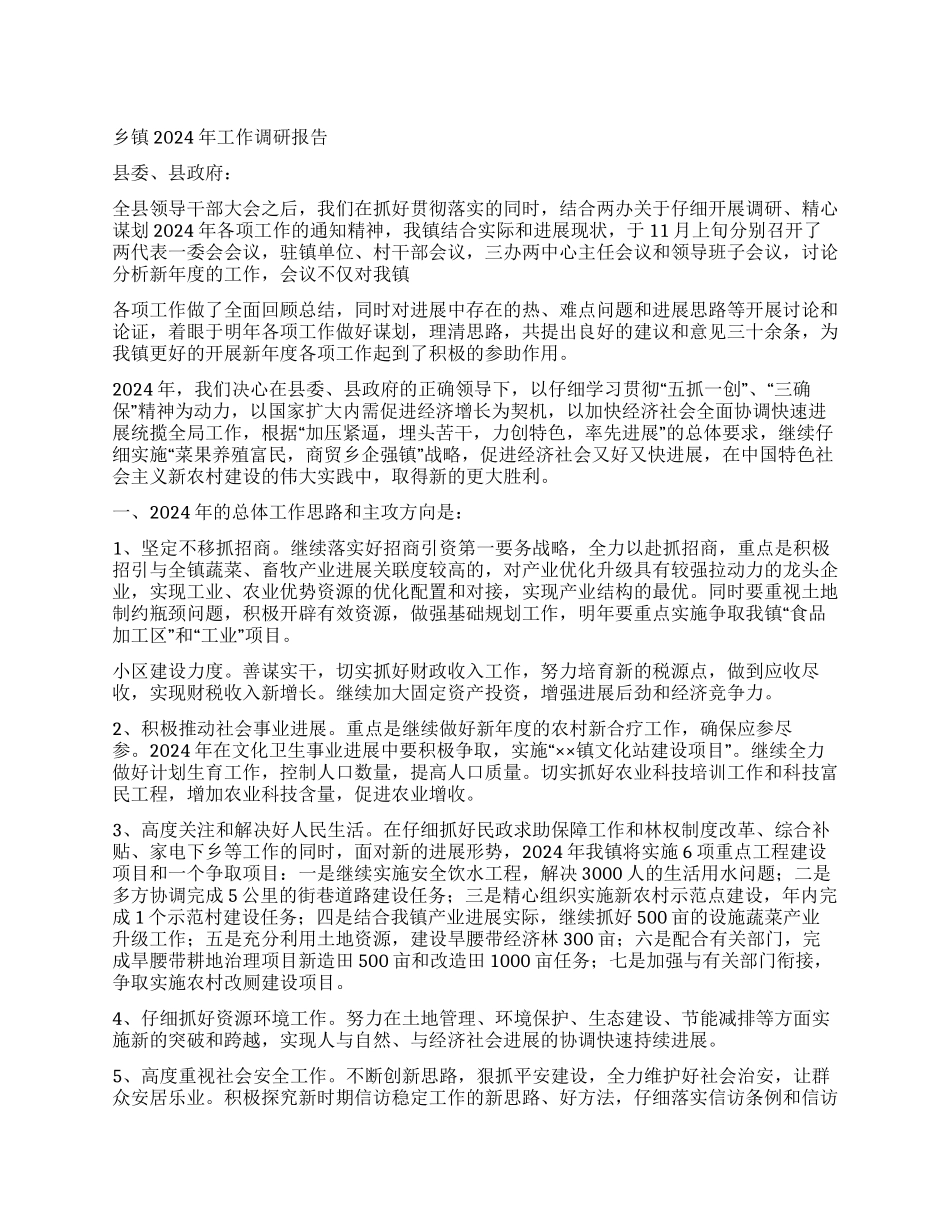 乡镇2024年工作调研报告_第1页