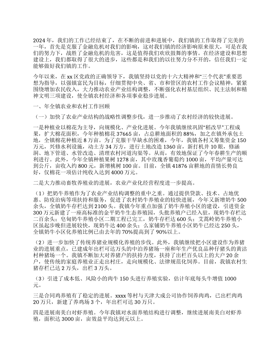乡镇2024年度工作年终总结_第1页