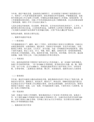 乡镇2024年度政府上半年工作报告