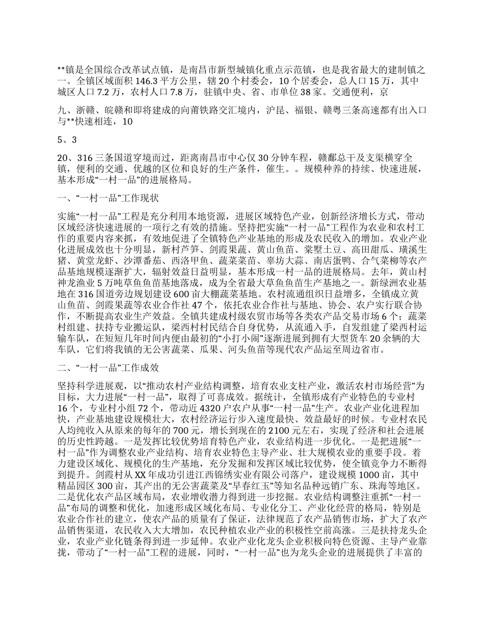 乡镇一村一品工作经验交流_第1页