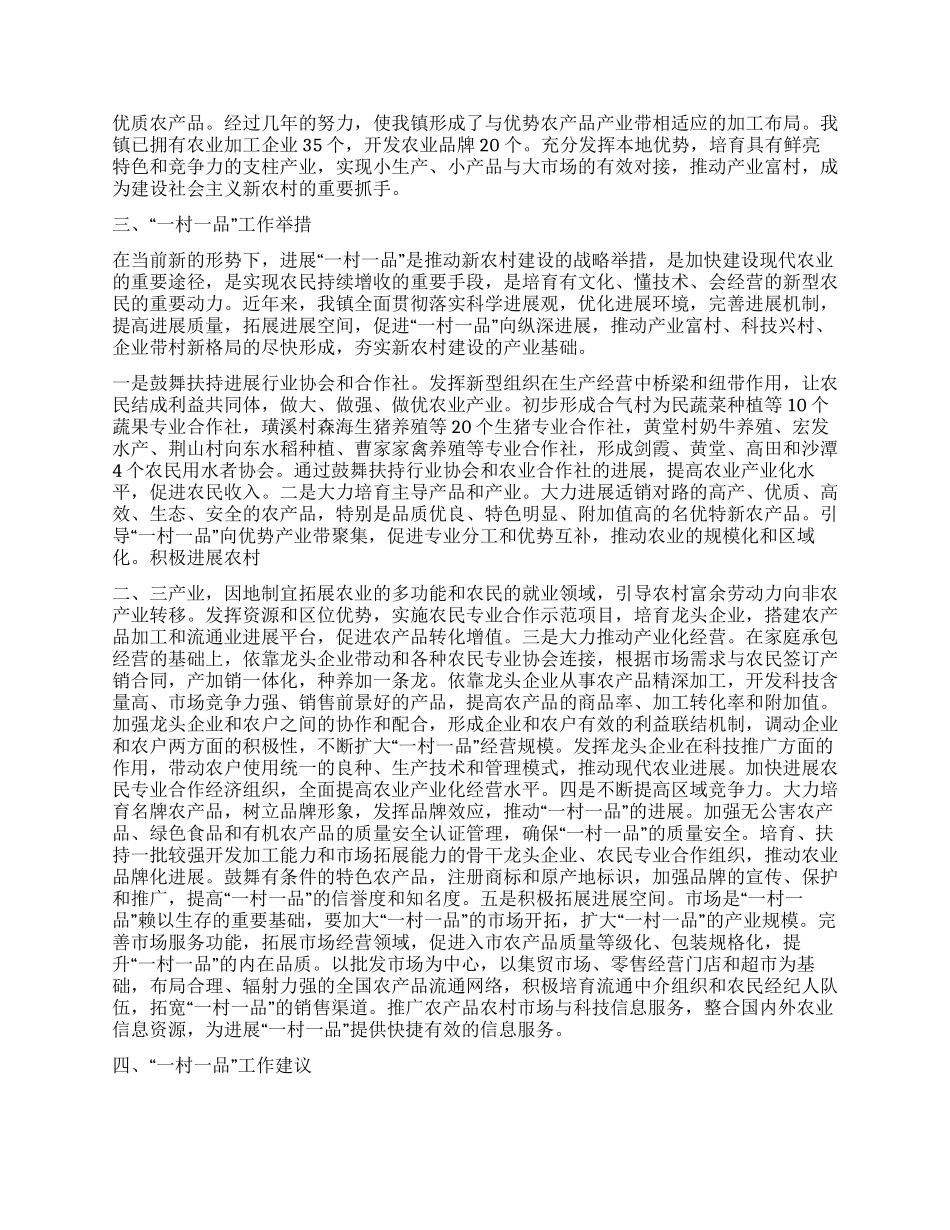 乡镇一村一品工作经验交流_第2页