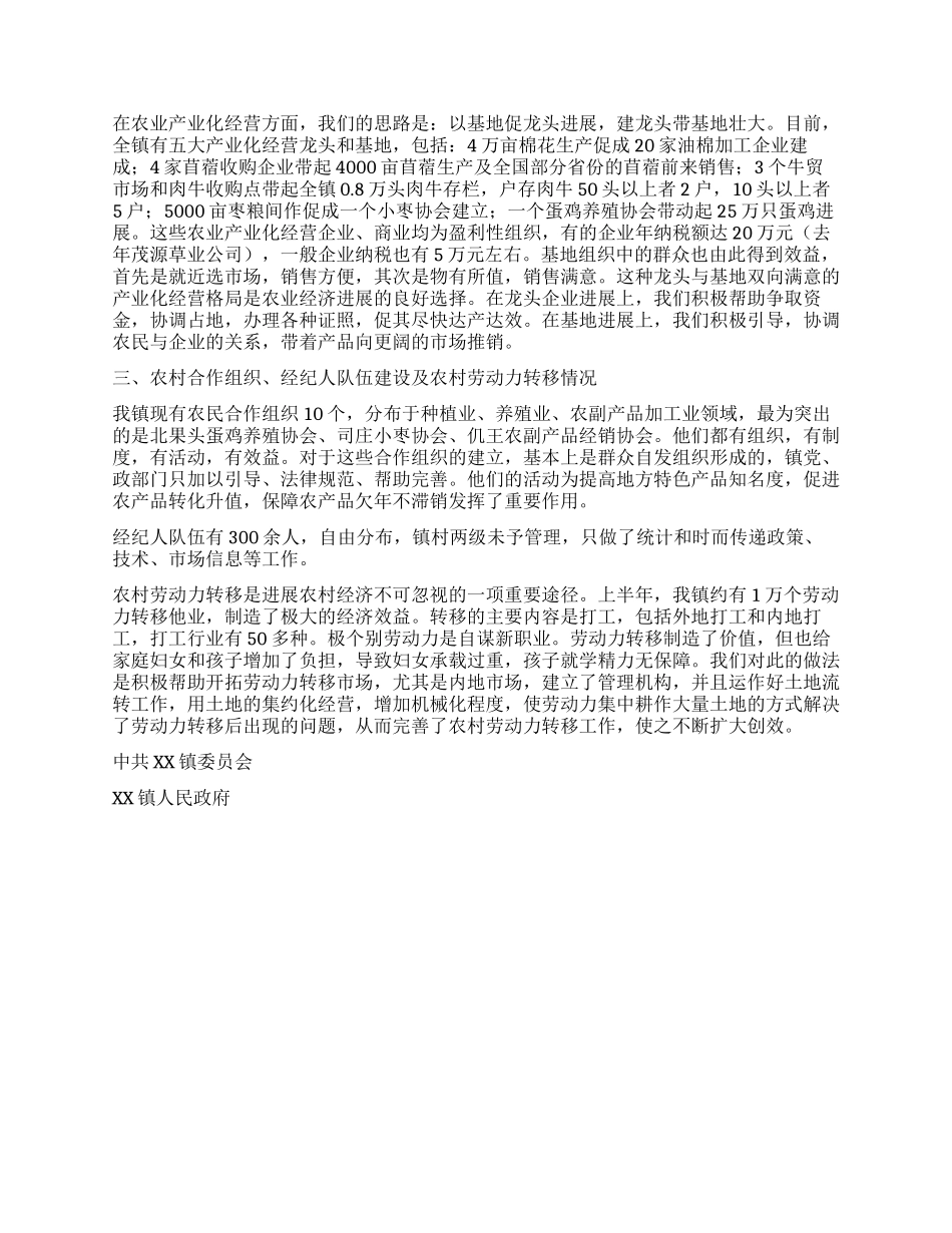 乡镇上半年农村工作汇报_第2页