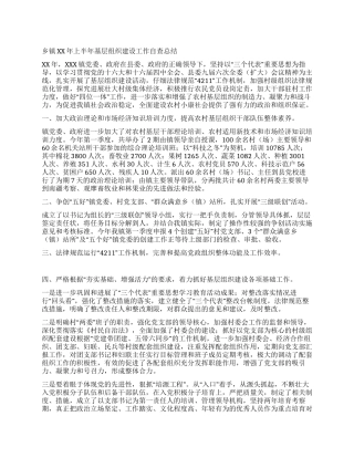 乡镇上半年基层组织建设工作自查总结
