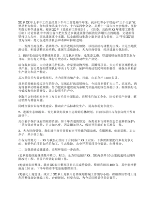 乡镇上半年工作总结及下半年工作思路