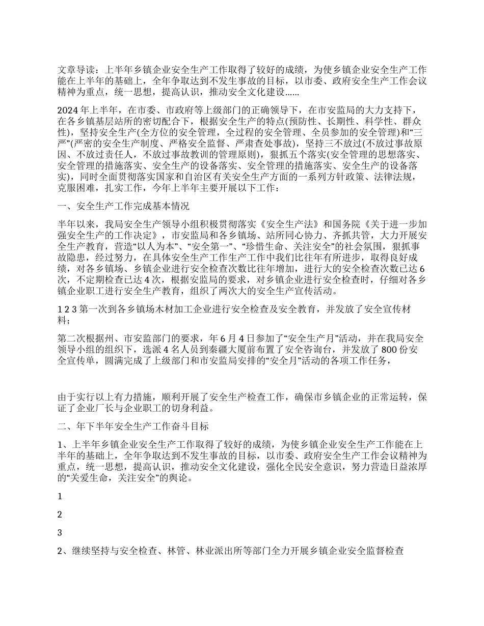 乡镇企业安全生产半年工作总结_第1页