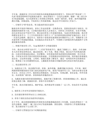 乡镇侨务工作上半年工作总结及下半年计划