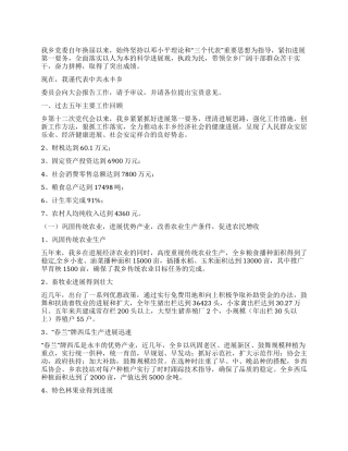 乡镇党代会工作报告