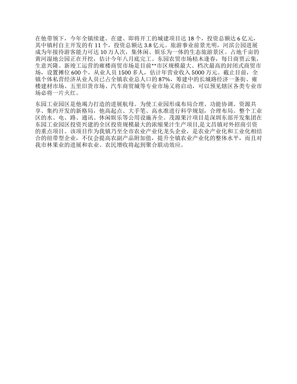 乡镇党委书记先进事迹_第3页