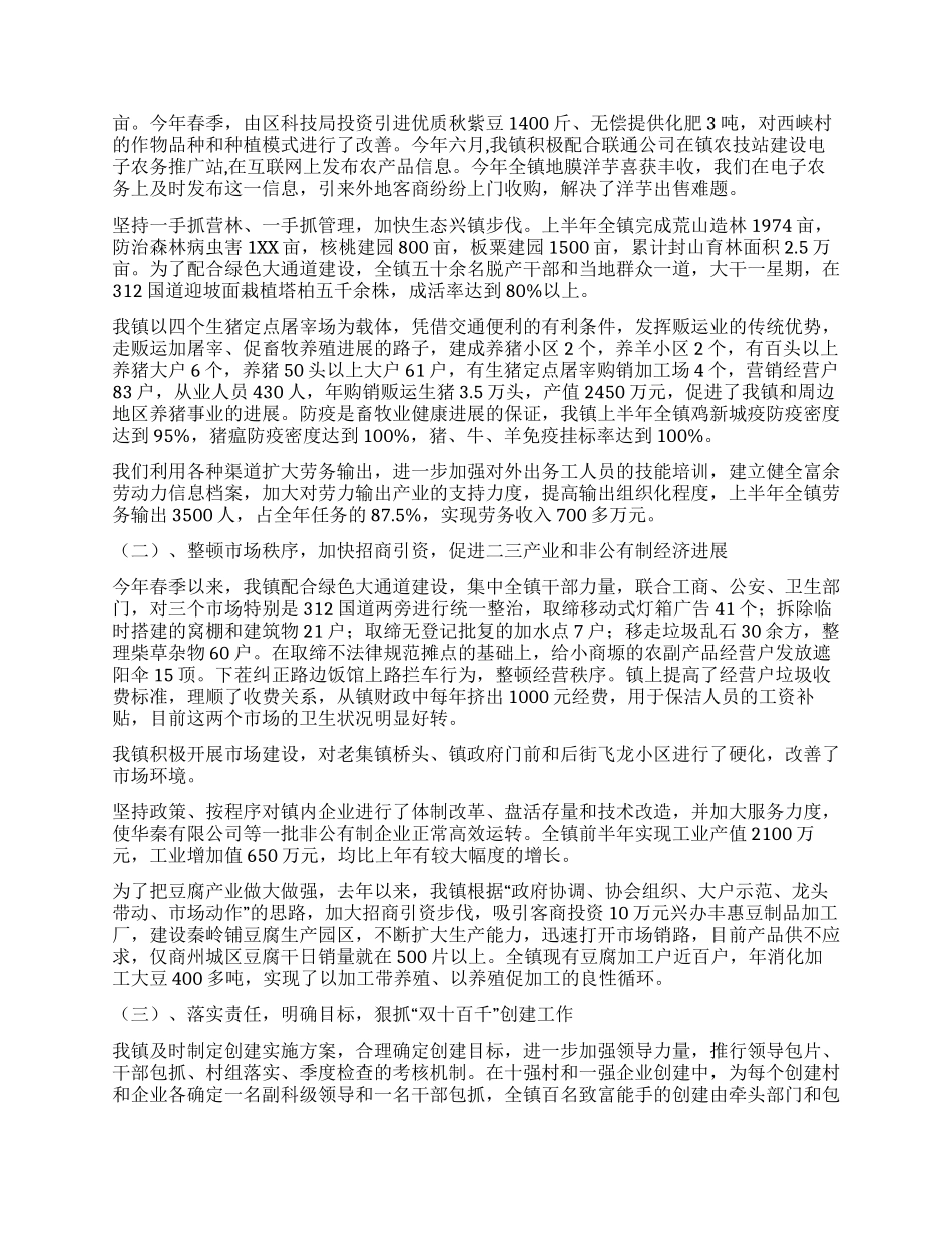 乡镇党委政府XX年上半年工作总结_第2页