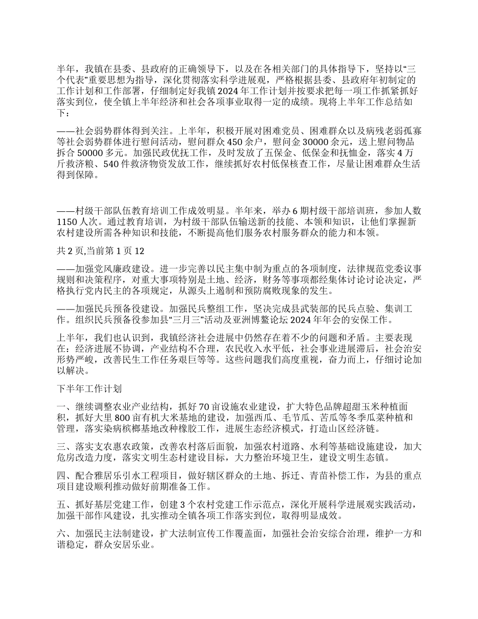 乡镇党政办2024年上半年工作总结及下半年工作要点_第1页
