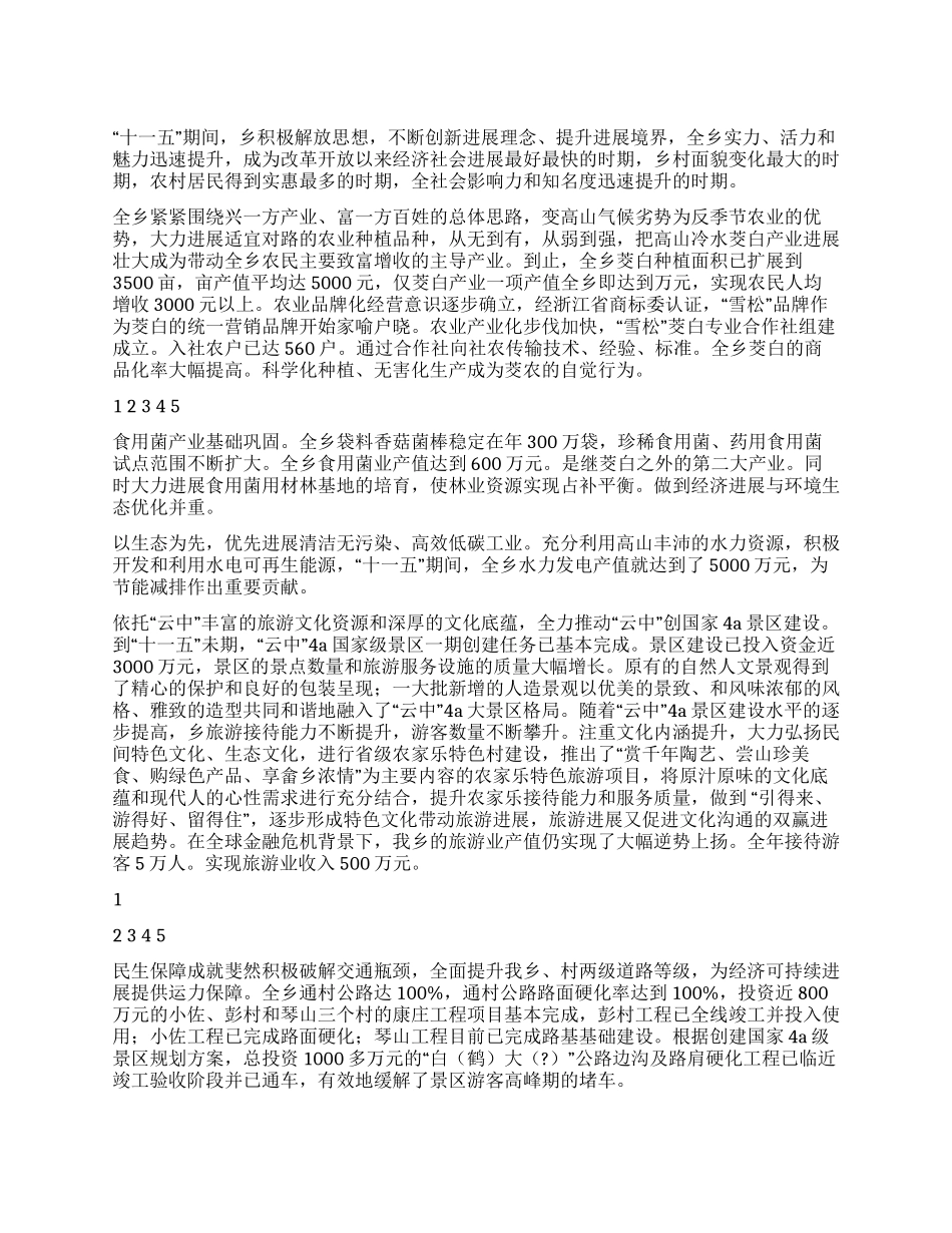 乡镇十一五成就工作总结_第1页